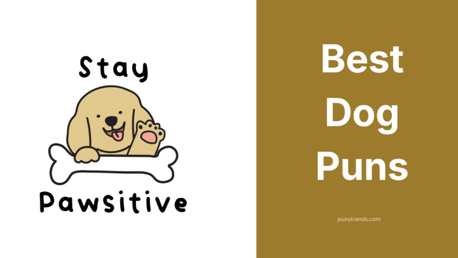 Dog Puns